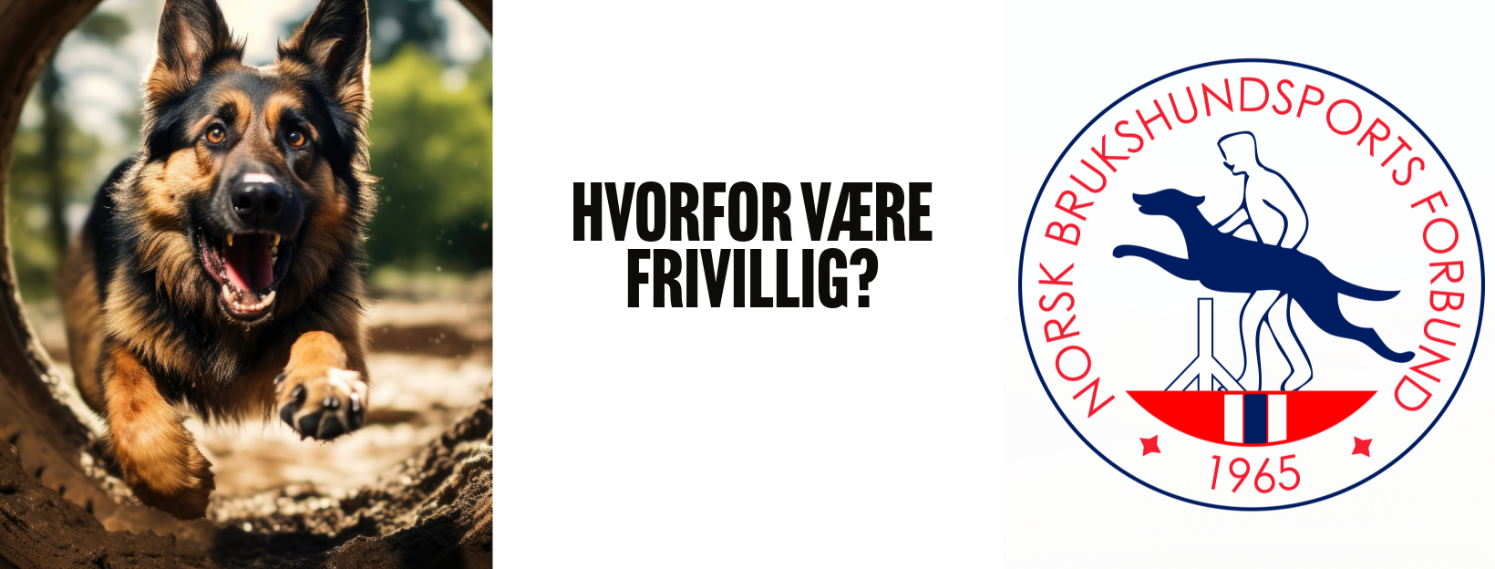 Hvorfor være frivillig