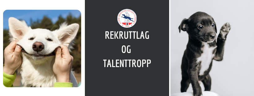 Rekruttlag og talenttropp 2
